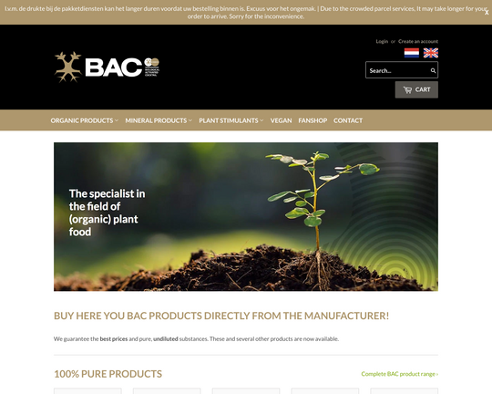 BacWinkel Logo