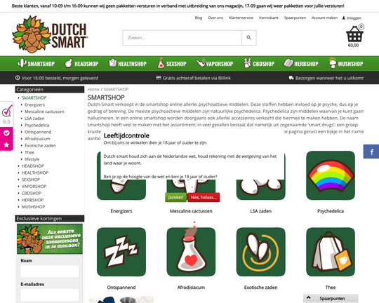 DutchSmart Logo