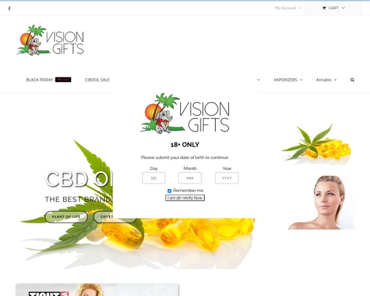 HeadshopVision Logo
